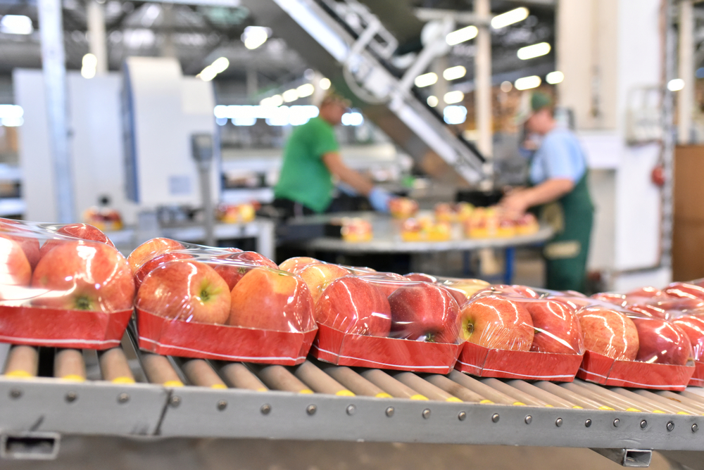 Packaged apples in plastic moving on a packing machine for food products